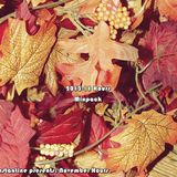 DJ Constantine Presents: November Hours 13-11-29 | Whirl Raw Hardstyle Mix #novemberhours