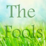 The Fools Podcast, Episode 1: Introductions