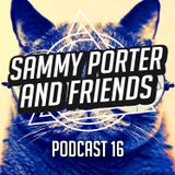 SP And Friends - Podcast 16