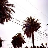 90 & Under Mix