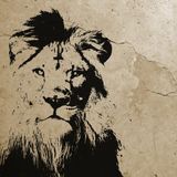Strefa Dread - audycja 369 (Lion Vibrations),18-12-2014