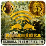 Panamérika No.251 - Descarga Flannery!