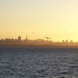 California Gold