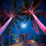 Trance-Episode 3
