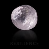 Resilience
