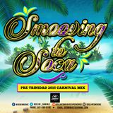 DJ Smoove Presents - Smooving To Soca 2015 | Pre TnT Carnival Soca Mix