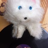 "La noche de los discos vivientes/Panchito recomienda: ratas con arroz y a baiar el Fox Trot" 16