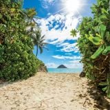 The Best Chill Deep & Tropical House 2015 | New Kang Mix |