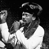 Bim Sherman Inna Jamdown: Vocals and Dubs (A Midnight Raver Mix)