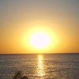 Sunset Funk