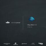 Submarine Podcast 021: Roby Deep in the mix