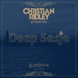 Guestmix for 'Deep Sesje' Show 14.01.2015
