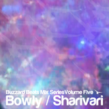 Buzzard Beats Mix Series Volume Five: Bowly / Sharivari