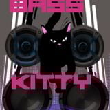 DYKRO_BASS KITTY MIX