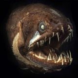 Piranha Synapses "sind Kaput" (Tostas Mashup) - Wolfgang Gartner vs. Auvic vs. Justice
