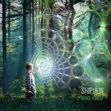 Shipulin - Space Forest