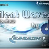 Garami & Dave Harrigan pres. Silent Waves 2013.12.11. @ HOMERADIO