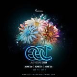 Laidback Luke - Live at EDC Las Vegas (Kinetic Field) - 21.06.2014