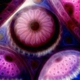 Jordan Everscending, DMT and Ayahuasca. Show Date: 07 20 14 www.paranormalized.com