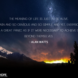 The Meaning of Life 0.2