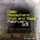 Dj Paranoid<>Deep Atmospheric dnb Mix<>Feb 2011