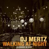 Walking At Night