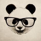 Never Say No To Panda # 15