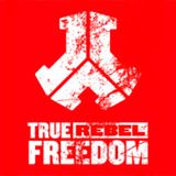 Tosh1R - Digital Life #6 Defqon.1 Warmup Mix