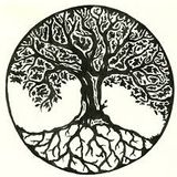 House Techno Reborn