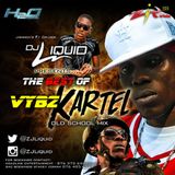 ZJ Liquid-BEST OF KARTEL MIX (oldieS)