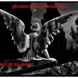 A PLEASURE FOR YOU MIND ( MIXED JOSETX ) VOL.1