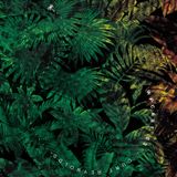 Wicked Paradisecast 03 - CURT REYNOLDS