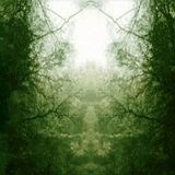 Enchanted