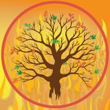 The | Dub Rise | Sun Step | Mix | 30.3.13