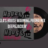 Diggla's House Warming Promo Mix (DEEP & JACKIN)