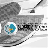 Blossom Mix Vol.3 - Tribute To Nujabes a.k.a Seba Jun -