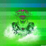 Infected Mushroom Old School Megamix 2.2