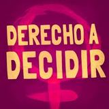A 2 años del fallo sobre el Aborto No Punible
