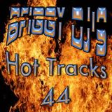 Hot Tracks 44