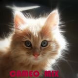 CAMEO MIX