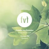 Freunde von Freunden Mixtape #95 by Dewtone