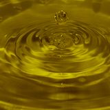 Liquid Lounge - A Taste Of Sunday Dub Club