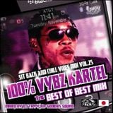 100% VYBZ KARTEL THE BEST OF BEST MIX -DJ TIPPY rep GOODIES SOUND-