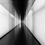 DEPTH PERCEPTION Vol. 1.0 (Down The Rabbit Hole)