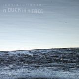 A Duck in a Tree 2015-05-02 | The Whole of the Half