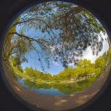 Sunday Sessions 13.1- The Duck Pond