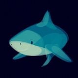 20130731 Lovesick / Shark Cage Diving