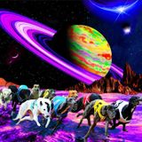 DJ Frodo - Grooovy Galactic Grayhounds!!! (Grayhound Recordings label sampler)
