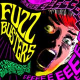 FUZZBUSTERS