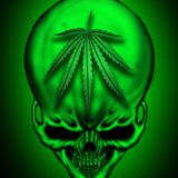 Cypress Hill Mix